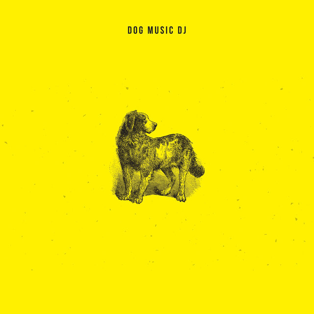 Comfort Dog Music
