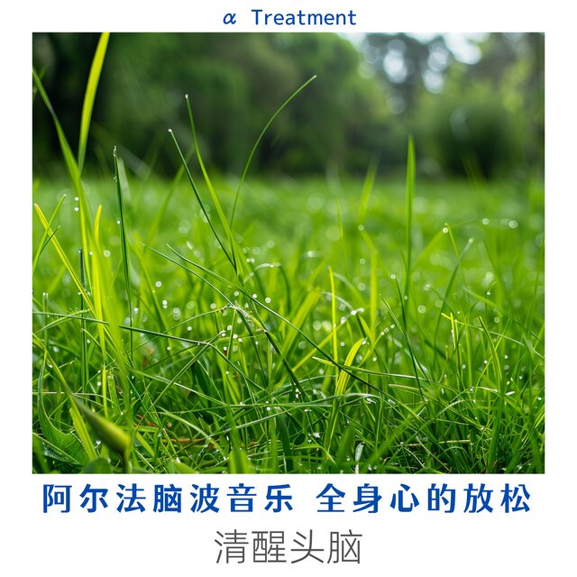 阿尔法脑波音乐 全身心的放松｜清醒头脑