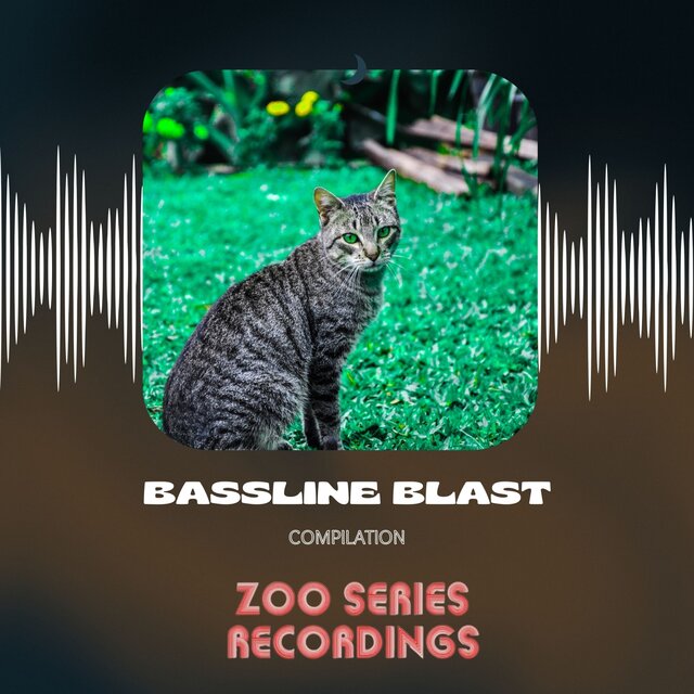 Bassline Blast