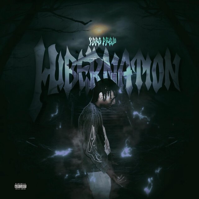 Hibernation