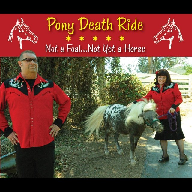 Not a Foal, Not yet a Horse