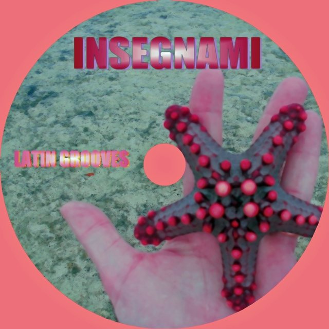 Insegnami (Latin Grooves)