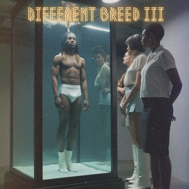 DIFFERENT BREED III