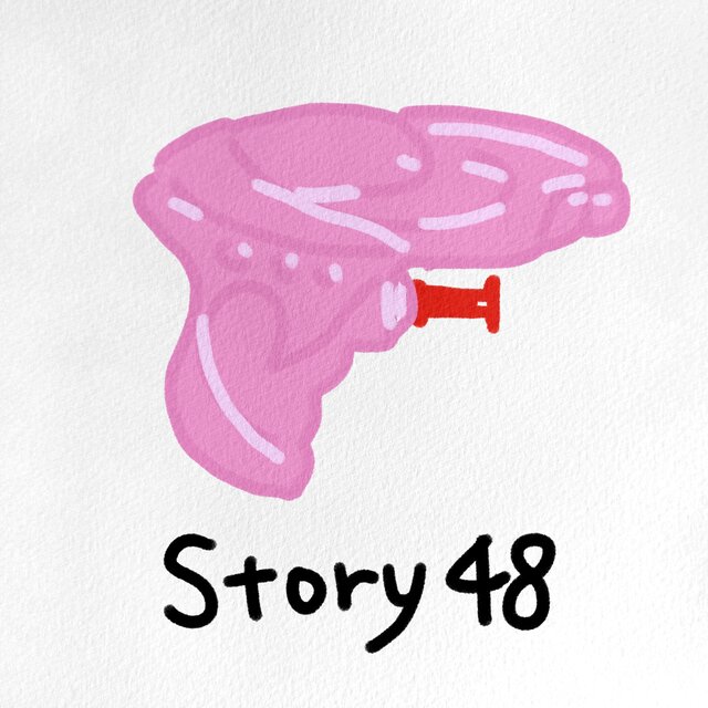 Story 48