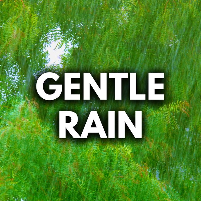 Gentle Rain