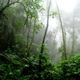 Welness and Mindfulness