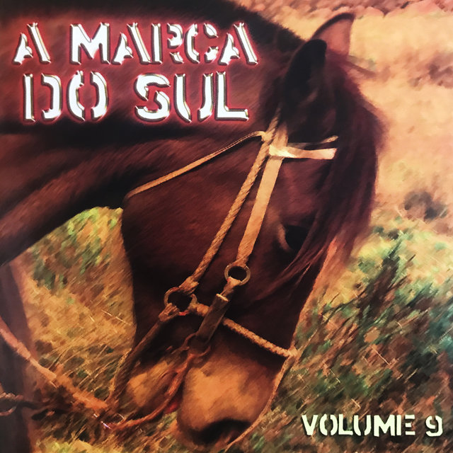 A Marca do Sul, Vol. 9
