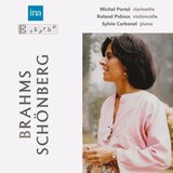Clarinet Trio in A Minor, Op. 114: I. Allegro