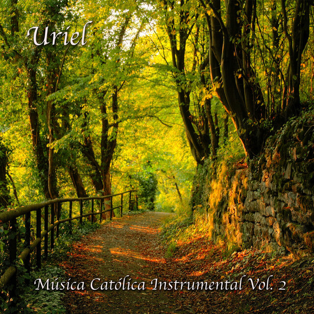 Música Católica Instrumental Vol. 2