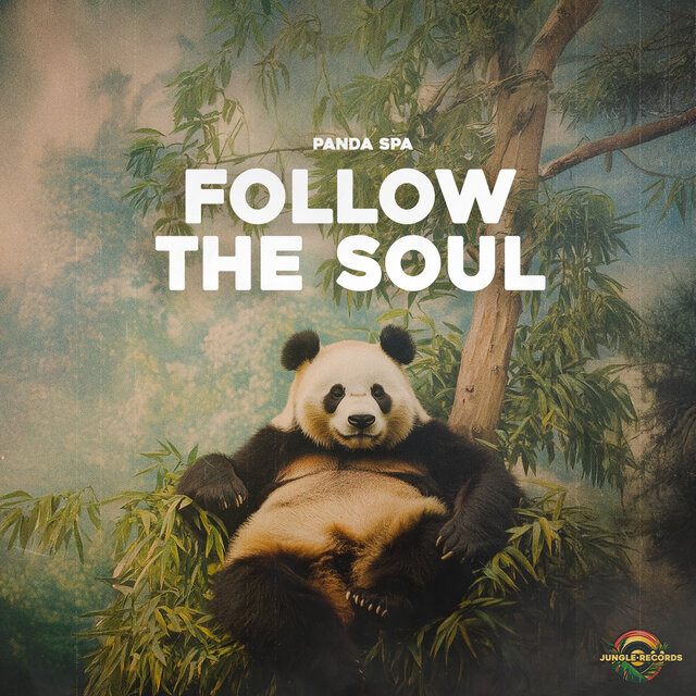 Follow the Soul