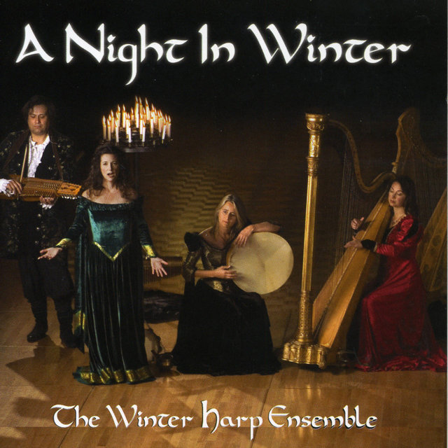 A Night in Winter