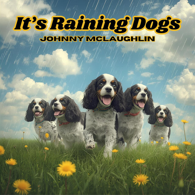 It's Raining Dogs