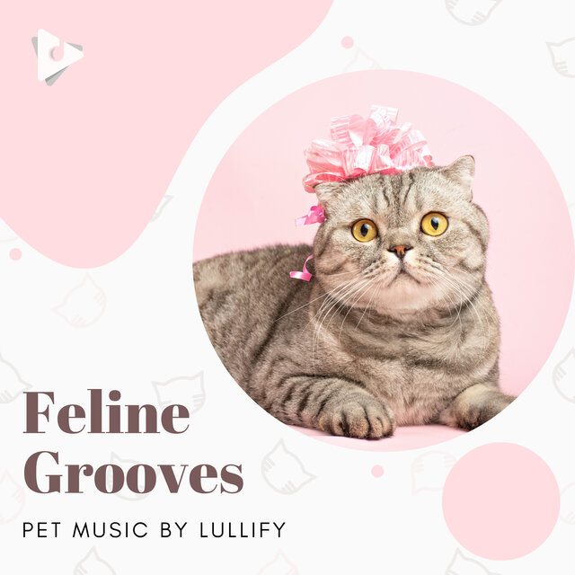 Feline Grooves