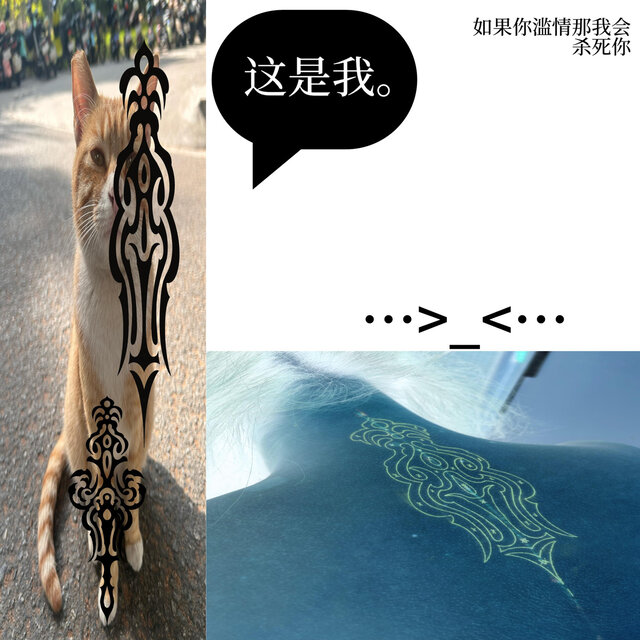 这就是我。