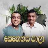 Senehasa Paala