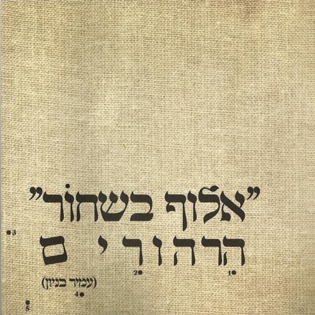 אלוף בשחור (הרהורים)