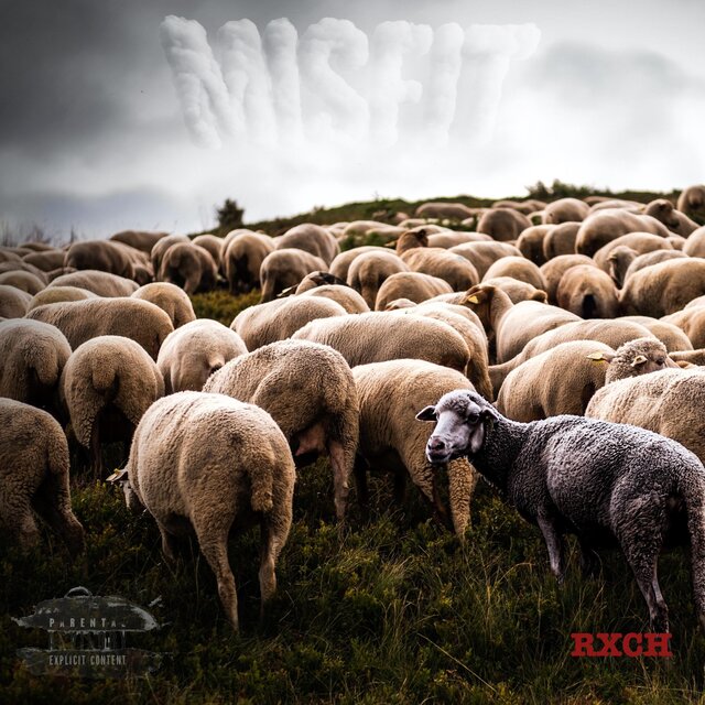 MISFIT