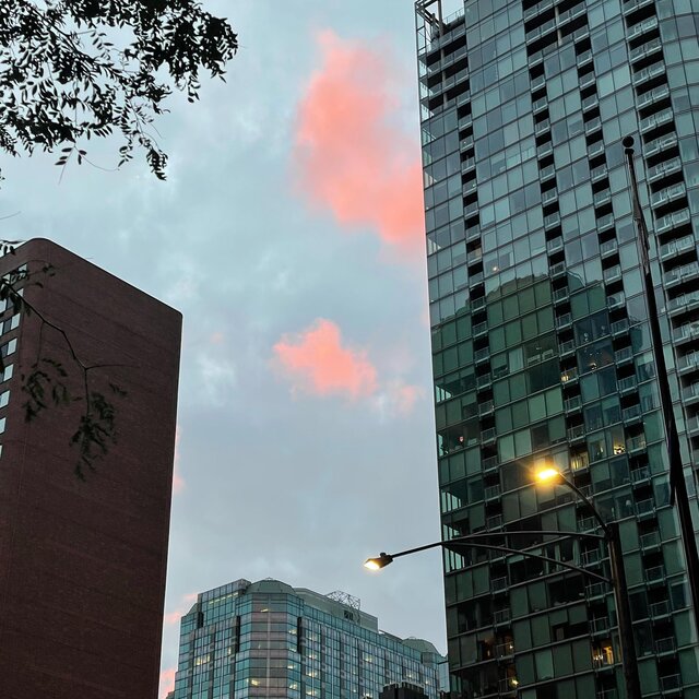 NIGHTS IN CHICAGO