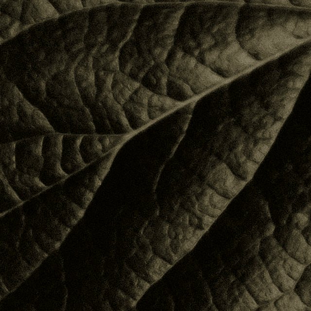 drum_solo_on_synths---L:f-R:a- (feat. faera)