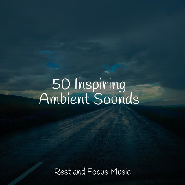 50 Inspiring Ambient Sounds