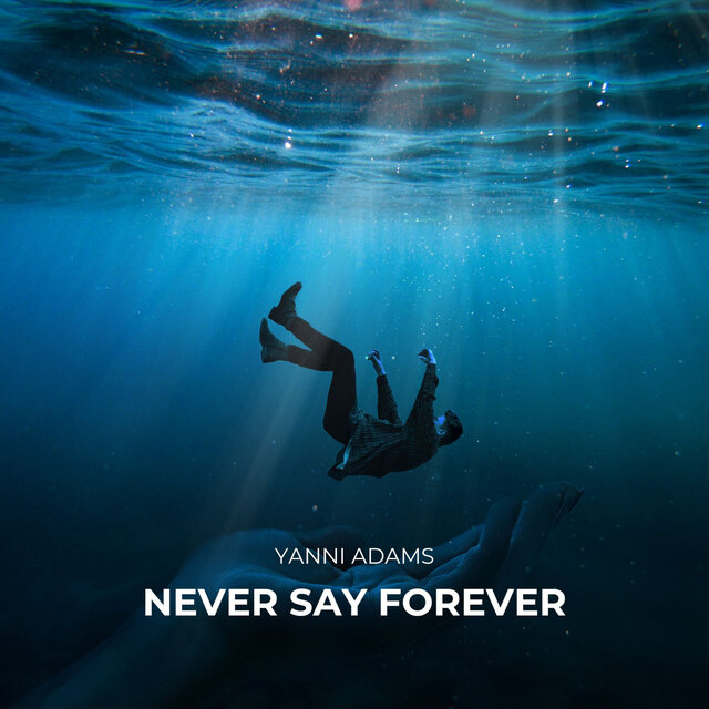 Never Say Forever