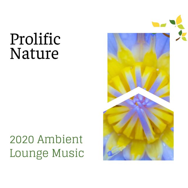 Prolific Nature - 2020 Ambient Lounge Music