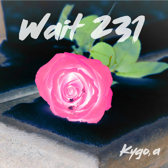 Wait 231