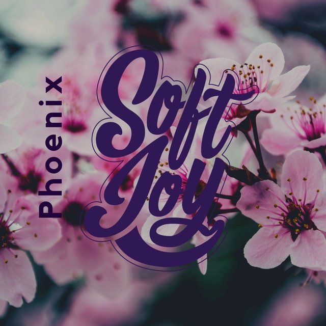 Soft Joy