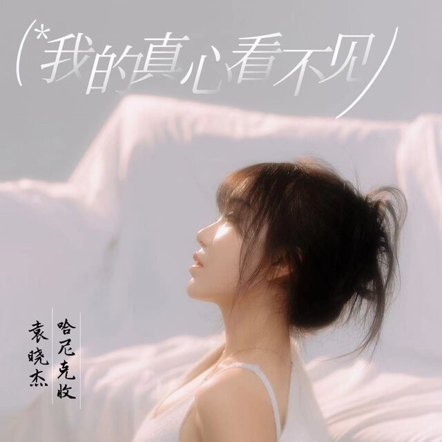我的真心看不见