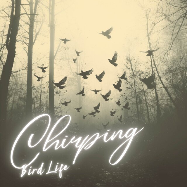 Soothing Winged Harmony