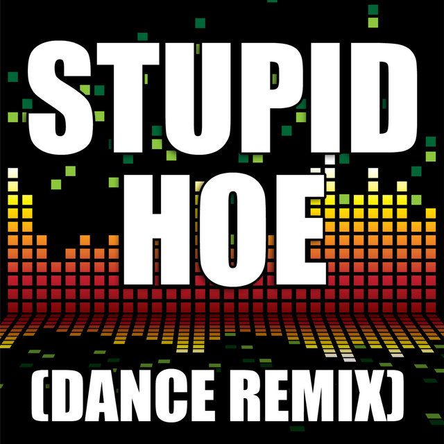 Stupid Hoe  (Dance Remix)