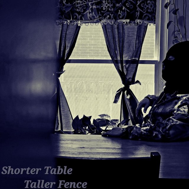 Shorter Table Taller Fence