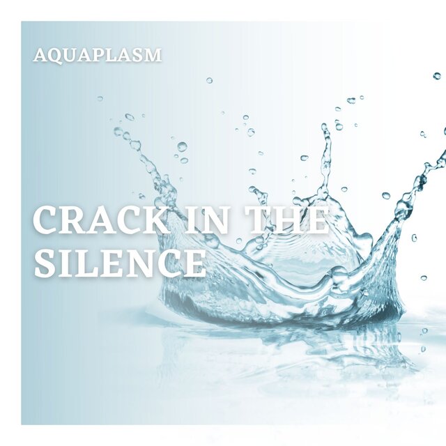 Crack In The Silence