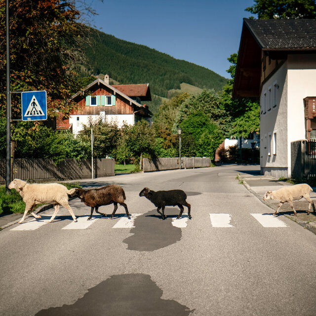 I mecht an Landla hean