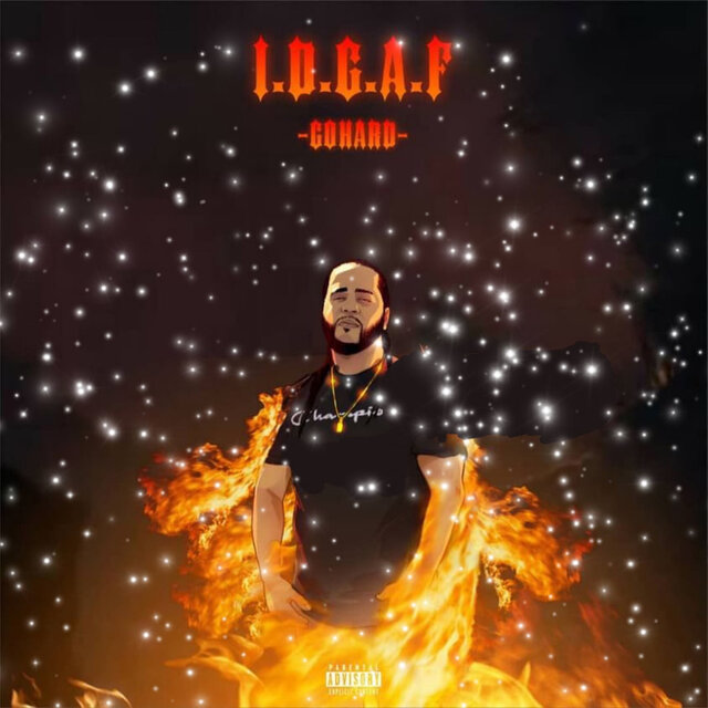 I.D.G.a.F