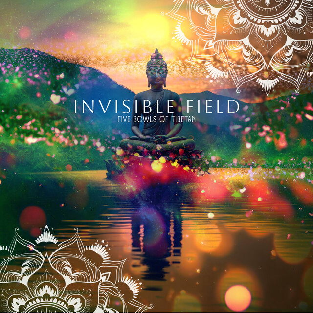 Invisible Field