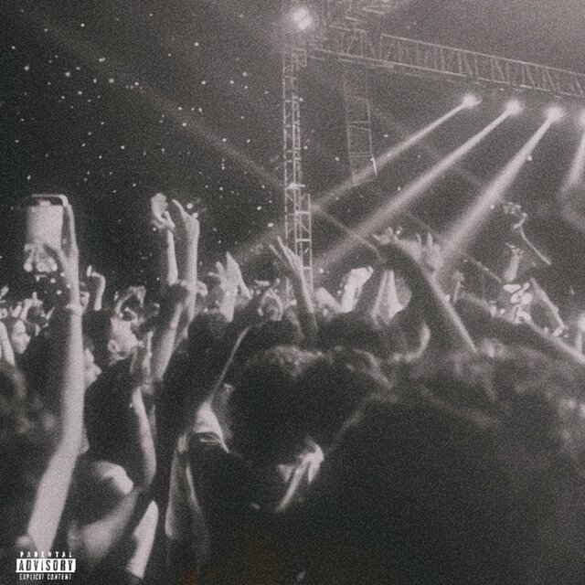 Vibes On Vibes
