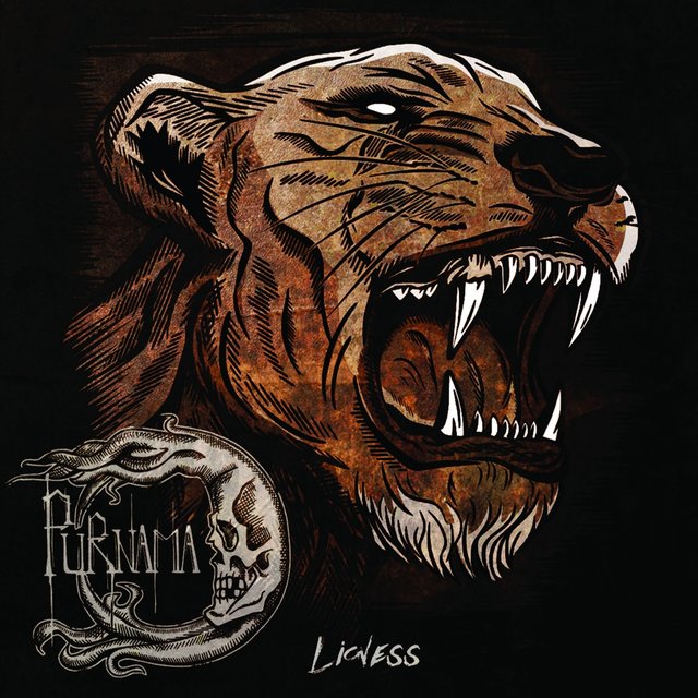 Lioness