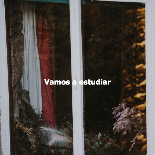 Vamos a estudiar