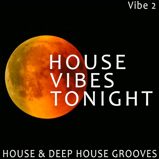 House Vibes Tonight - Vibe.2