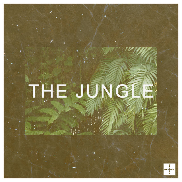 The Jungle