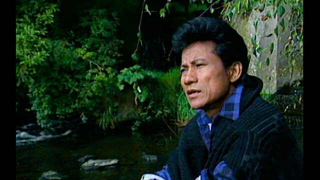 Mưa Buồn Tỉnh Lẻ