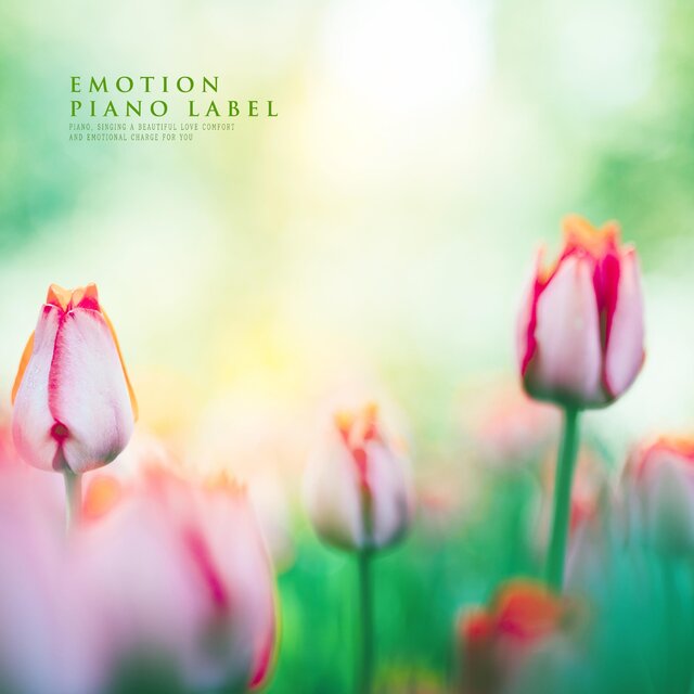 The Sounds Of Nature Piano (Nature Ver.)