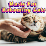 The Best Music for Kittens