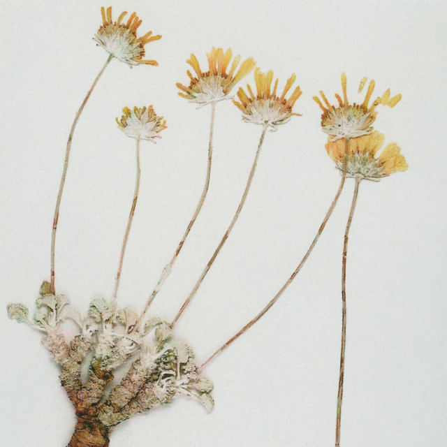 Elliot Moss On Tidal elliot moss on tidal