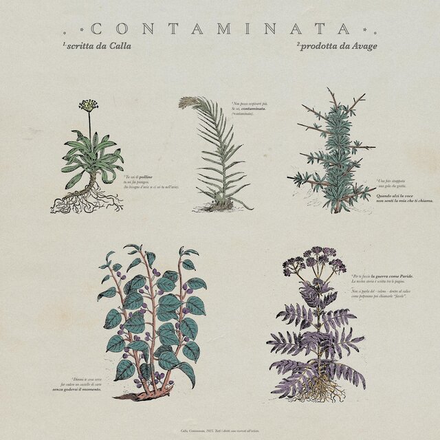 Contaminata (feat. Avage)