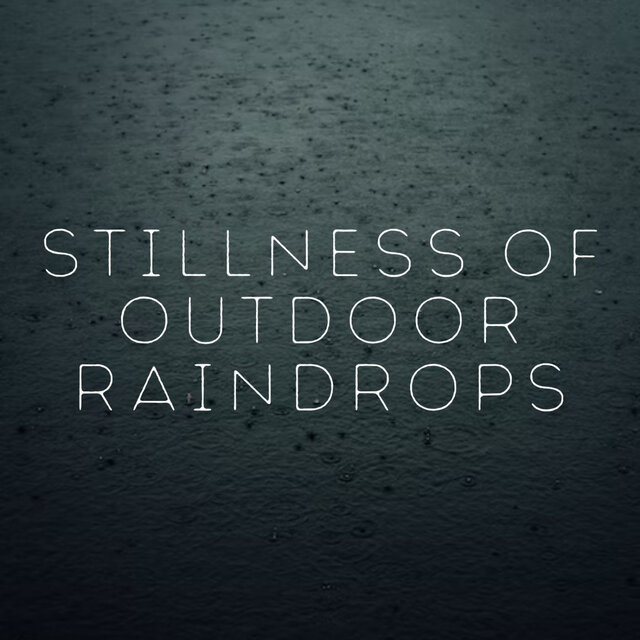 Stillness of Outdoor Raindrops
