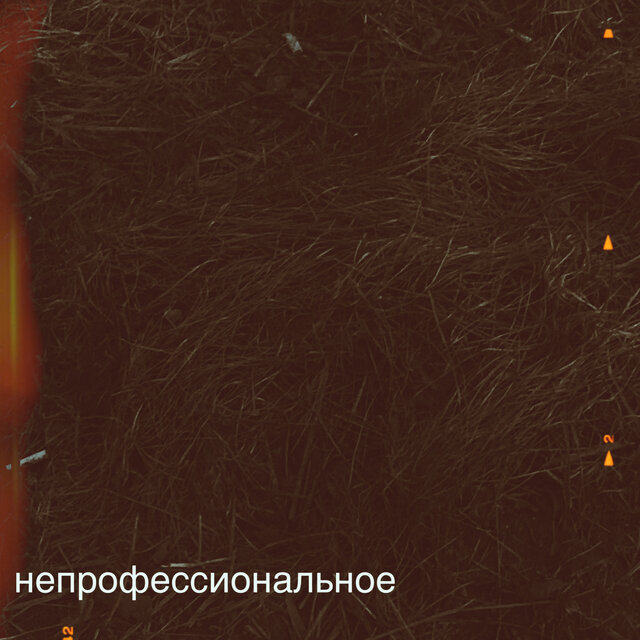 Непрофессиональное