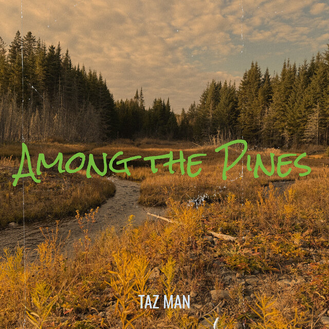 Among the Pines