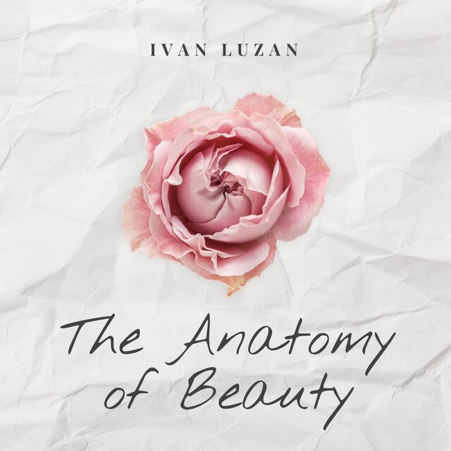 The Anatomy of Beauty